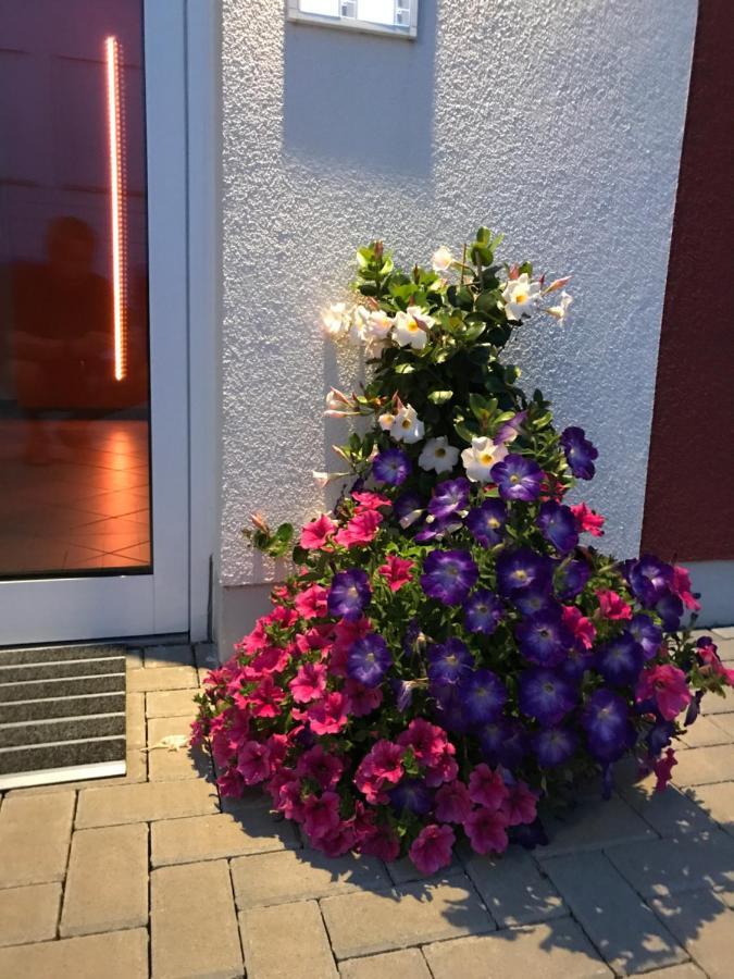 Ferienwohnungen Am Feldrain - Gornau Im Erzgebirge Zschopau Bagian luar foto