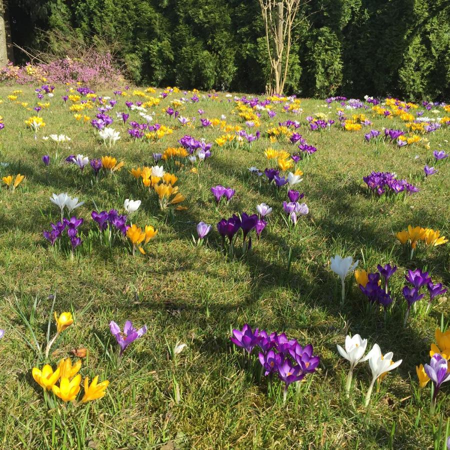 Ferienwohnungen Am Feldrain - Gornau Im Erzgebirge Zschopau Bagian luar foto